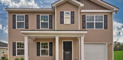 1013 Field Strip Road, Columbia