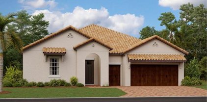 17304 Scuba Crest Street, Wimauma