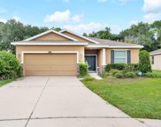 2825 Holly Bluff Court, Plant City image