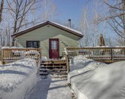 25925 Gunnison Drive, Nevis image