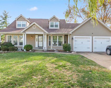 716 Wren Path  Court, Ellisville