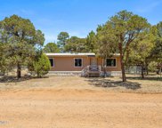 3557 Black Bear Run, Overgaard image