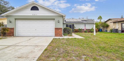 7811 Deer Foot Drive, New Port Richey