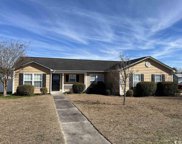 300 Cherry Buck Trail, Conway image