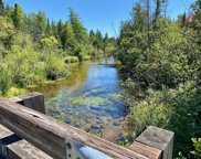 May Lake Road Unit 28.8 acres, Frederic image