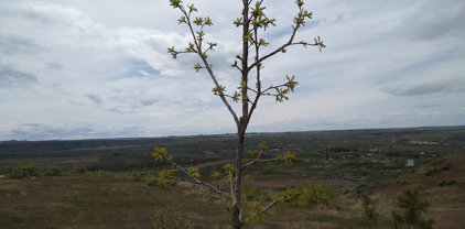 4505 Snake River Mesa Road, Buhl