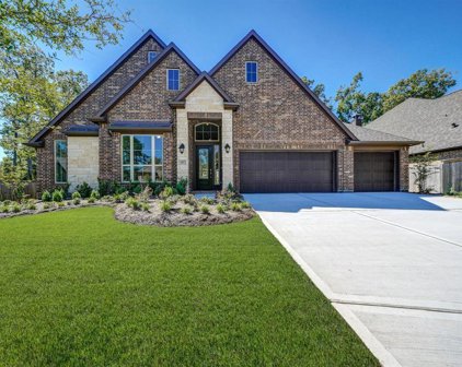 107 Evening Tide Court, Willis