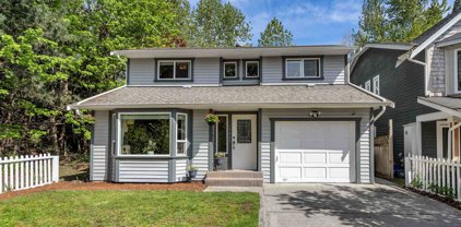 19469 115a Avenue, Pitt Meadows