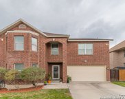 112 Springtree Hollow, Cibolo image