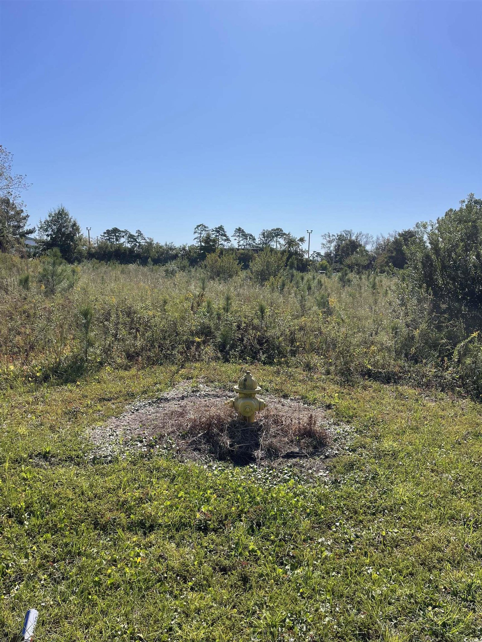 MLS 2423936 Not within a Subdivision TBD Old Highway 17 North, North