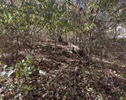 4620 Legacy Preserve Way, Brownsboro image