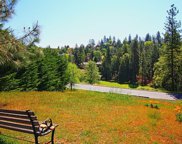 501 Forest Meadows Dr, Murphys image