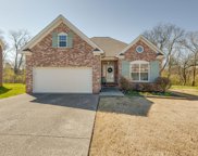 1046 Aenon Cir, Spring Hill image