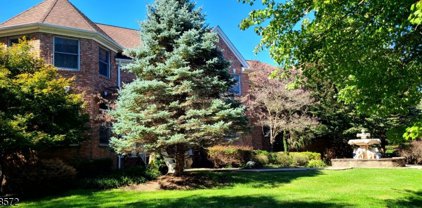 802 Atkinson Cir, Hillsborough Twp.