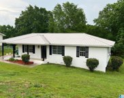 707 Alpine Street, Oneonta image