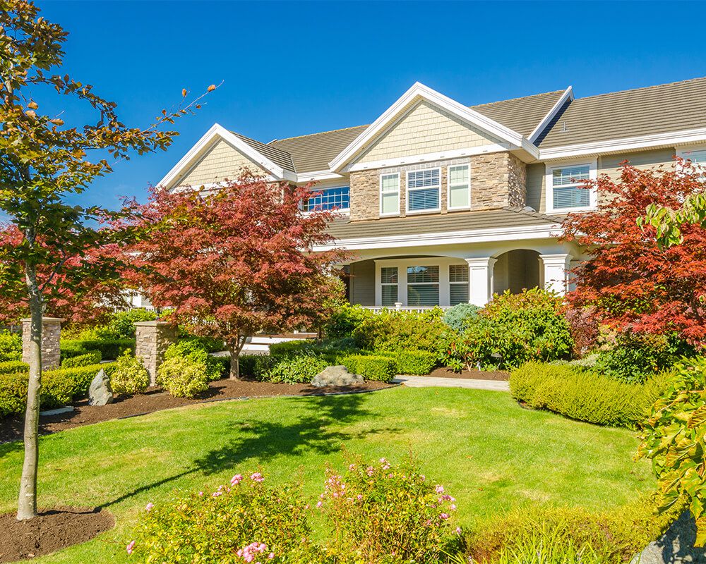 MLS Area Sold Homes Real Estate