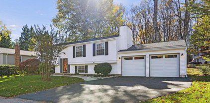 10217 Steamboat Landing Ln, Burke