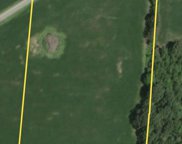 Newt Vanattia Rd, Hillsboro image