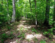Lot 732 Mossy Hollow Rd, Baneberry image