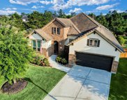 27602 S Colt Shadow Lane, Spring image