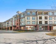 8880 202 Street Unit PH6, Langley image