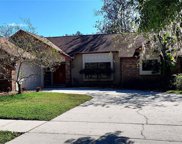 3508 Rolling Trail, Palm Harbor image