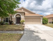 12323 Hawkeye Point Place, Riverview image