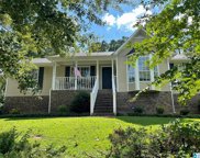 132 Twin Lakes Road, Trussville image
