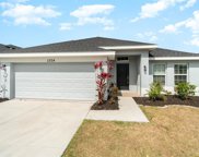 1204 Kellogg Drive, Tavares image