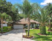 1209 Oak Leaf Ct, Minneola image