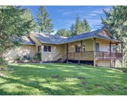 498 BRYANT HILL RD, Woodland image