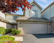 8735 Golden Rose Drive, Orland Park image