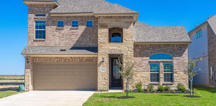 10042 Hombourg, Schertz
