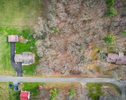 0.46 AC Brentwood Lane, Chilhowie