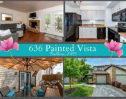 636 Painted Vista, Ballwin image
