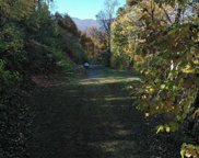 00 Fern Brook, Waynesville image