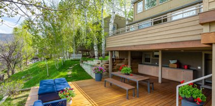 100 N 8th Street Unit #27, Aspen