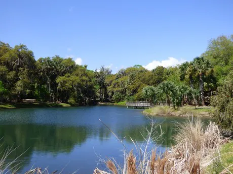 Gemini Springs