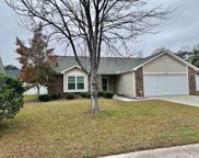 4206 Wrens Crossing, Little River image