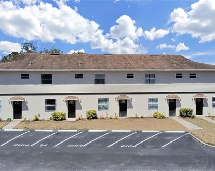 2102 Pine Chace Court, Tampa