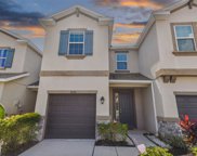 8128 Muddy Pines Place, Tampa image