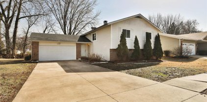 1118 Holly River  Drive, Florissant