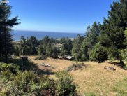 Wallace, Gold Beach image