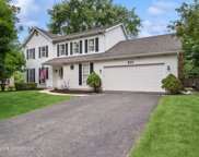 805 Potomac Avenue, Naperville image