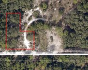 Wedgewood Circle, Mount Dora image
