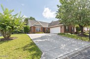 7038 Winter Oaks Way Way Unit 40, Knoxville image