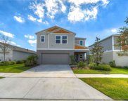14605 Brumby Ridge Avenue, Lithia image
