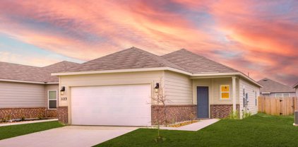 1123 Thea Cove, New Braunfels