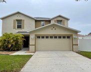 13502 Copper Belly Court, Riverview image