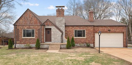 9906 Juengel  Drive, St Louis